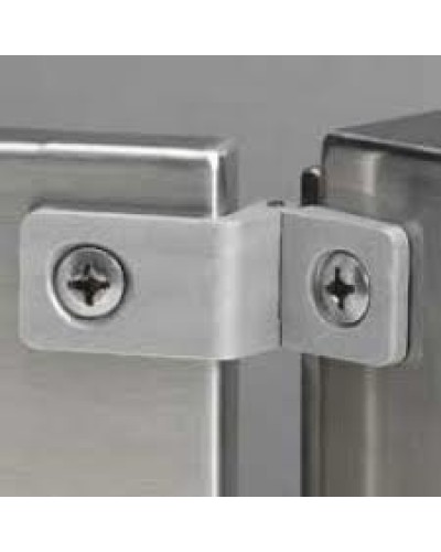 Петли для электромонтажных коробок Atlantic Legrand 035807 в Нефтеюганске Полки для шкафов и стоек Pintop.ru