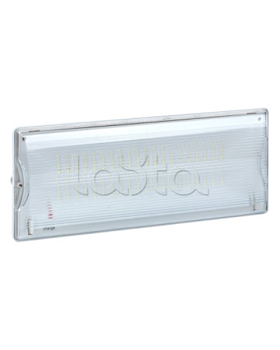 Светильник аварийного освещения SAFEWAY-40 LED EKF Proxima (dpa-202) в Нефтеюганске Светильники Pintop.ru