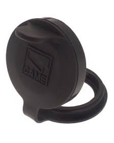 Защита целиндра замка A4366 Came 119RIA051 в Нефтеюганске Запчасти для шлагбаумов и автоматики Pintop.ru