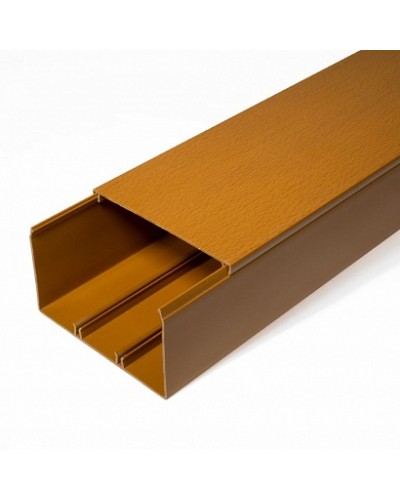 Кабель-канал бук 2-й замок 100х60 (16м/уп) Промрукав (PR.025447) в Нефтеюганске Огнестойкие кабельные линии Pintop.ru