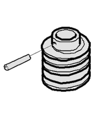 Червяк G2500 Came 119RIG094 в Нефтеюганске Запчасти для шлагбаумов и автоматики Pintop.ru