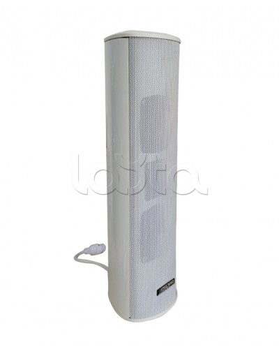 Громкоговоритель DSPPA POE-255 в Нефтеюганске Система оповещения и трансляции Dsppa Pintop.ru