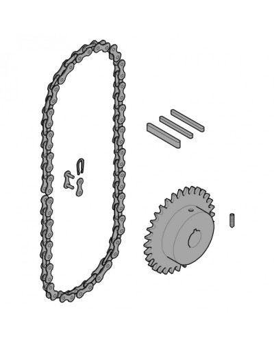 Передающая система (цепь и звездочки) C005 Came 119RICX016 в Нефтеюганске Запчасти для шлагбаумов и автоматики Pintop.ru