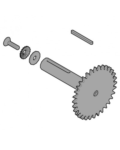 Звездочка C003 C004 C005 Came 119RICX013 в Нефтеюганске Запчасти для шлагбаумов и автоматики Pintop.ru