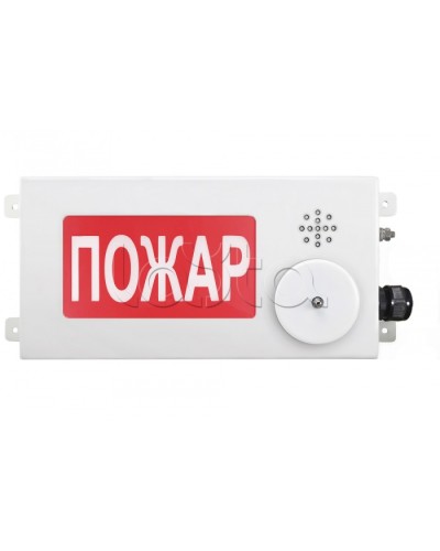 Табло светозвуковое взрывозащищенное Спектрон ТСЗВ-Exm-М-Прометей-МИНИ 12-36В в Нефтеюганске Оповещатели Ex Pintop.ru