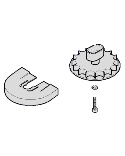 Шестеренка для C001 Came 119RICX004 в Нефтеюганске Запчасти для шлагбаумов и автоматики Pintop.ru
