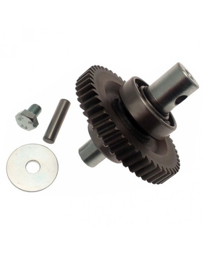 Шестерня редуктора FAST в сборе Came 119RID229 в Нефтеюганске Запчасти для шлагбаумов и автоматики Pintop.ru