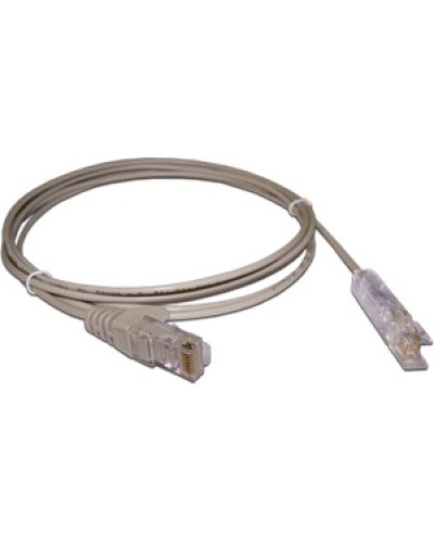 Патч-корд 110 тип - RJ45, 1 пара, UTP, 2 м LANMASTER LAN-45-P1-2m в Нефтеюганске Патч-корды и пигтейлы Pintop.ru