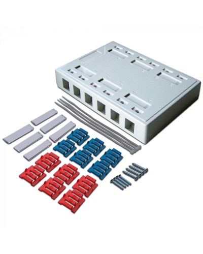 Коробка настенная на 12 кейстоунов, белая LANMASTER (LAN-MB-12K-WH) в Нефтеюганске Распределительные коробки Pintop.ru