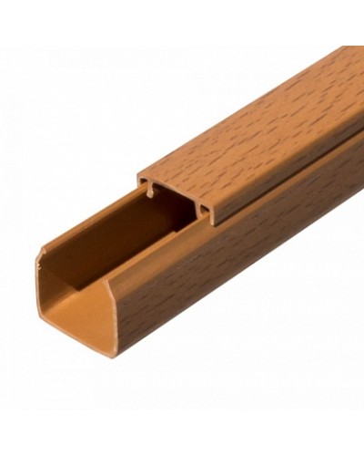 Кабель-канал бук 2-й замок в п/э 25х25 (32 м/уп) Промрукав (PR03.0198) в Нефтеюганске Огнестойкие кабельные линии Pintop.ru