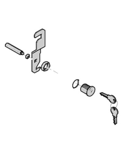 Замок дверцы G4040 G4041 Came 119RIG176 в Нефтеюганске Запчасти для шлагбаумов и автоматики Pintop.ru