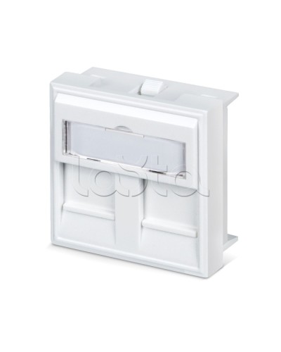 Вставка 45x45 (аналог Mosaic) для 2 модулей формата Keystone Jack Cabeus FP-45-2M в Нефтеюганске Модули Keystone Pintop.ru