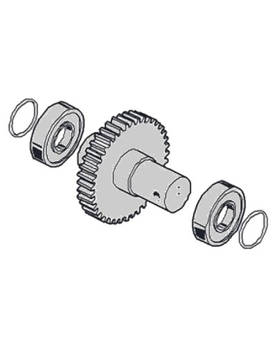 Моторедуктор G2081 G2081I Came 119RIG197 в Нефтеюганске Запчасти для шлагбаумов и автоматики Pintop.ru