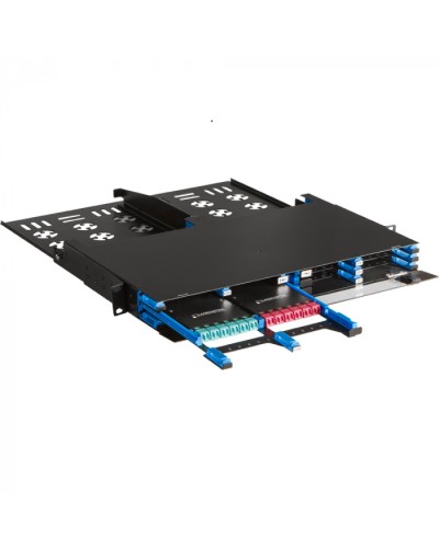 Бокс 19 на 12 компактных кассет MPO, 1U, черный LANMASTER (LAN-FOBM-12MCC-1U) в Нефтеюганске Патч-корды оптические Pintop.ru