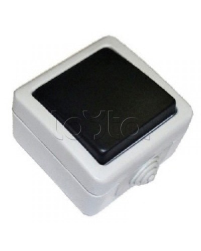 Экопласт EF600SD Выключатель одноклавишый с самовозвратом (кнопка),10A (сер.) в Нефтеюганске Розетки компьютерные и телефонные Pintop.ru