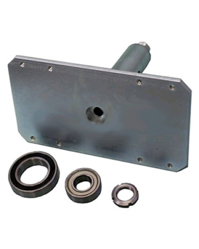 Электромагнит с механизмом разблокировки Came 119RIH022 в Нефтеюганске Запчасти для шлагбаумов и автоматики Pintop.ru