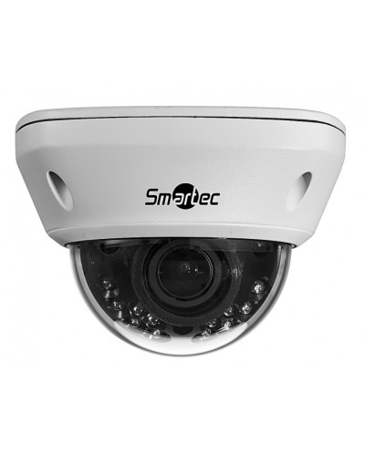 IP-камера видеонаблюдения купольная Smartec STC-IPM5591/1 в Нефтеюганске IP-камеры Pintop.ru