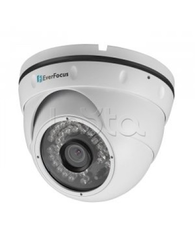 IP-камера видеонаблюдения купольная EverFocus ACE-IAV30 в Нефтеюганске IP-камеры Pintop.ru