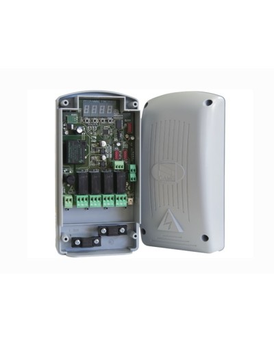 Радиодекодер Came 806RV-0010 в Нефтеюганске Запчасти для шлагбаумов и автоматики Pintop.ru