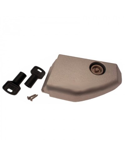 Дверца разблокировки с замком BX Came 119RIBX008 в Нефтеюганске Запчасти для шлагбаумов и автоматики Pintop.ru