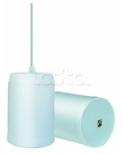 Громкоговоритель встраиваемый ROXTON SP-20T в Нефтеюганске Система оповещения и трансляции Roxton Pintop.ru