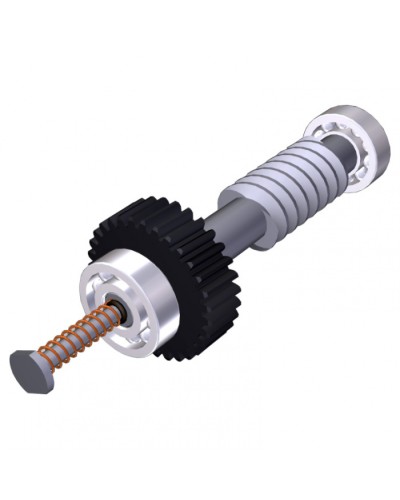 Червяк редуктора FAST40 Came 119RID374 в Нефтеюганске Запчасти для шлагбаумов и автоматики Pintop.ru