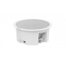 Потолочный громкоговоритель iFlow F-NA-206S