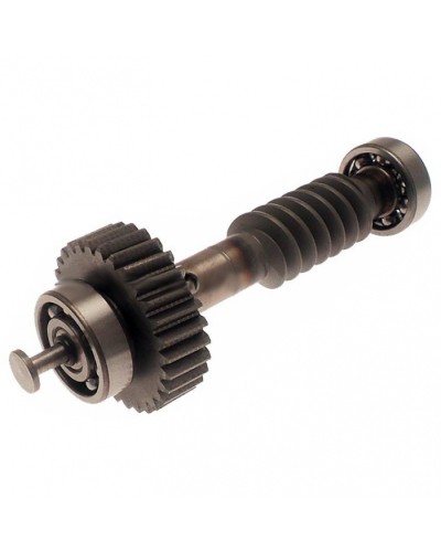 Червяк редуктора FAST в сборе Came 119RID228 в Нефтеюганске Запчасти для шлагбаумов и автоматики Pintop.ru