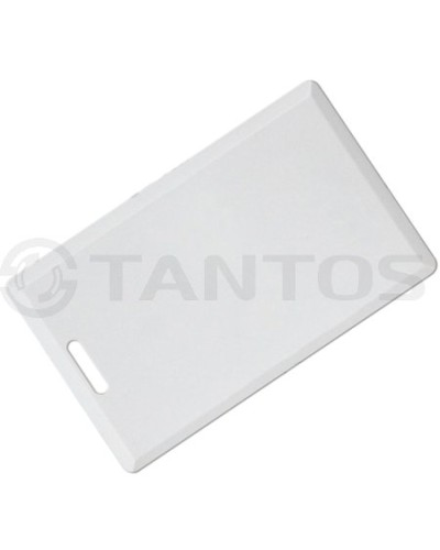 Карта толстая формата Temic Tantos Temic (толстая) TS в Нефтеюганске Оптовые идентификаторы Pintop.ru