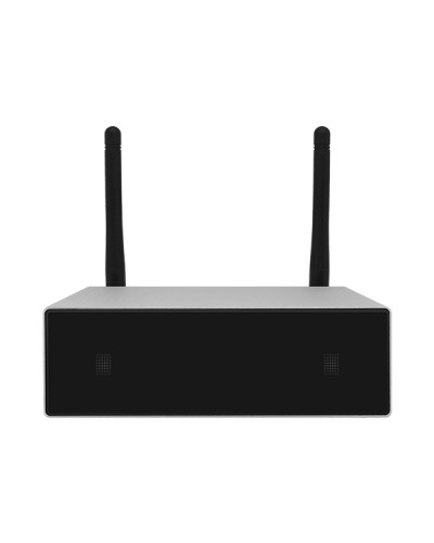 Усилитель потоковой передачи WIFI DSPPA DW-0250 в Нефтеюганске Система оповещения и трансляции Dsppa Pintop.ru