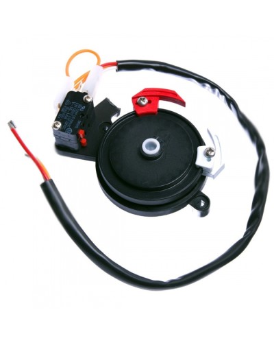 Концевые микровыключатели в сборе BX-243 Came 119RIBX041 в Нефтеюганске Запчасти для шлагбаумов и автоматики Pintop.ru