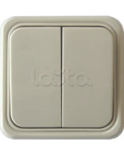 Выключатель двухклавишный открытой установки Экопласт, схема 5, (бежевый) в Нефтеюганске Розетки компьютерные и телефонные Pintop.ru