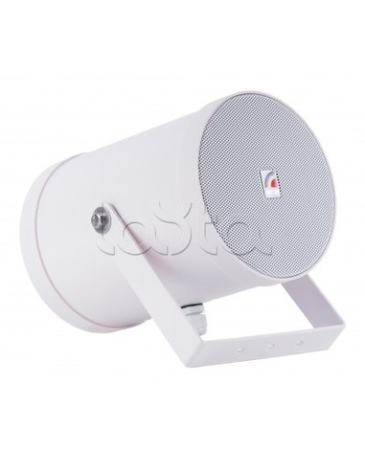 Двунаправленный Прожектор звуковой ROXTON SW-10T2 в Нефтеюганске Система оповещения и трансляции Roxton Pintop.ru