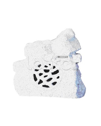 Громкоговоритель ландшафтный всепогодный DSPPA DSP-640 в Нефтеюганске Система оповещения и трансляции Dsppa Pintop.ru