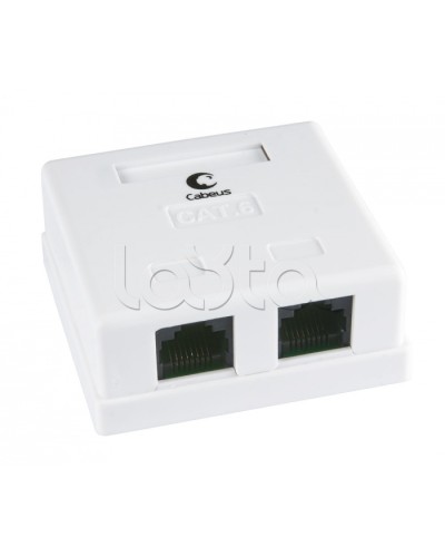 Розетка компьютерная RJ-45(8P8C), категория 6, двойная, внешняя, Krone type Cabeus WS-8P8C-Cat.6-2 в Нефтеюганске Розетки компьютерные и телефонные Pintop.ru