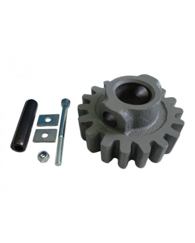 Шестерня ведущая ВК Came 119RIBK002 в Нефтеюганске Запчасти для шлагбаумов и автоматики Pintop.ru