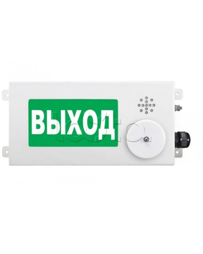 Табло световое взрывозащищенное Спектрон ТСВ-Exm-М-Прометей-МИНИ 220В в Нефтеюганске Оповещатели Ex Pintop.ru