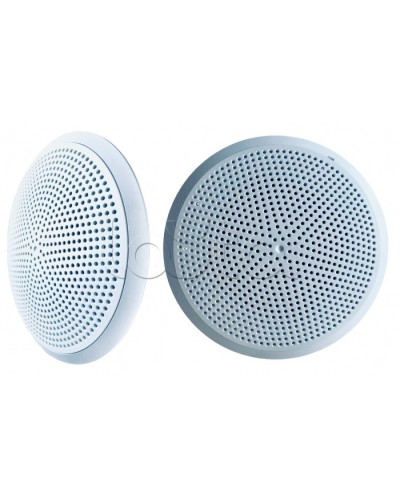 Модуль акустический С-Т-100 1/3 исп.2 (ИП Раченков А.В.) в Нефтеюганске Оповещатели Pintop.ru