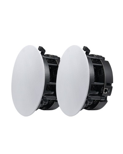 Двухполосный потолочный динамик DSPPA DW-2235 в Нефтеюганске Система оповещения и трансляции Dsppa Pintop.ru