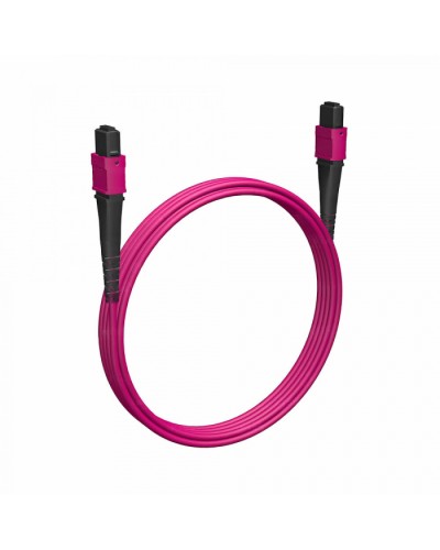 Кабельная сборка MPO(F) -MPO(F)-8 волокон 50/125 OM4, 3 m Cabeus (FOP-50-OM4-8-MPO(F)-8-MPO(F)-B-3m) в Нефтеюганске Кабельные сборки (оптические) Pintop.ru