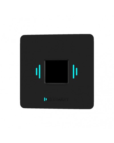 Считыватель вен ладоней BioSmart PALMJET BOX (крепление на плоскость) в Нефтеюганске Считыватели Pintop.ru