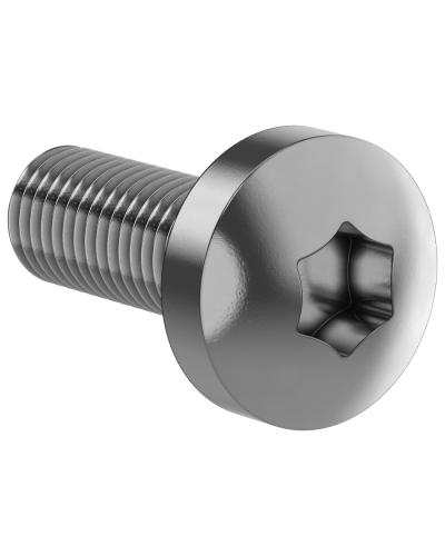 Винт М6х16 IEK (FO-00D-VTORX-M6X16-020) в Нефтеюганске Аксессуары для стоек и шкафов Pintop.ru