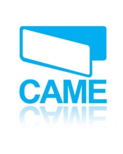 Конденсатор 31 MKF Came 119RIR299 в Нефтеюганске Запчасти для шлагбаумов и автоматики Pintop.ru