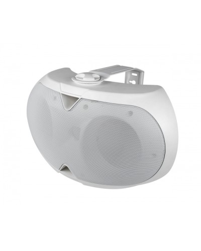 Громкоговоритель настенный 2-х полосный VOLTA ELLIPSE-2440TW в Нефтеюганске Система оповещения и трансляции Volta Pintop.ru