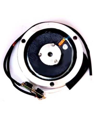 Электромагнит BY1500T Came 119RIY034 в Нефтеюганске Запчасти для шлагбаумов и автоматики Pintop.ru