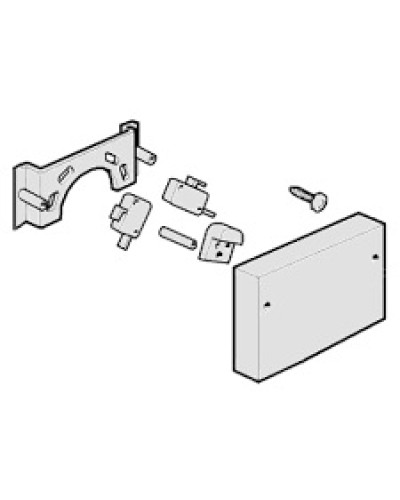 Микровыключатели G4000, G3750 Came 119RIG040 в Нефтеюганске Запчасти для шлагбаумов и автоматики Pintop.ru