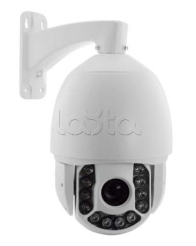 IP-камера видеонаблюдения купольная EverFocus ACE-ATE2033 в Нефтеюганске IP-камеры Pintop.ru