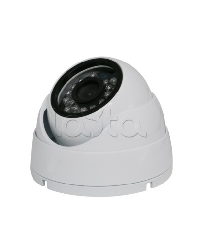 Камера видеонаблюдения купольная EverFocus ACE-IAB20XHD в Нефтеюганске Аналоговые камеры Pintop.ru