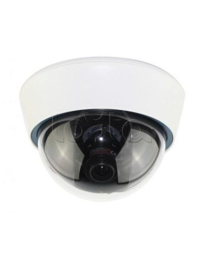 IP-камера видеонаблюдения купольная EverFocus ACE-IOV20A в Нефтеюганске IP-камеры Pintop.ru