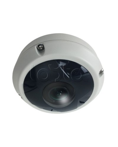 IP-камера видеонаблюдения купольная EverFocus ACE-KU89F в Нефтеюганске IP-камеры Pintop.ru